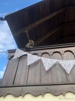 Svatební výzdoba - 8