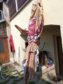 Slunečník kozel - 8