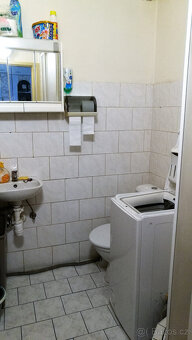 Pronájem 1+kk v bytovém domě se zahradou - 8