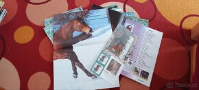 Koně a hříbata 37 kusů, plakáty+pohlednice - 8