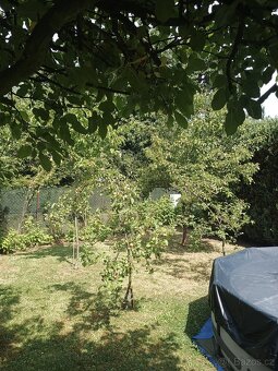 Chata staré město 5 minut od Karviné - 8