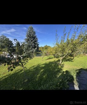 Prodej chaty se zahradou – Červený Kostelec, Chrby - 394 m² - 8