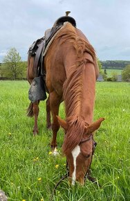 Westernové sedlo Votava - 8