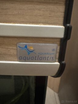 Rohové akváriu - 8