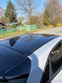 Ford Puma ST DPH - 8