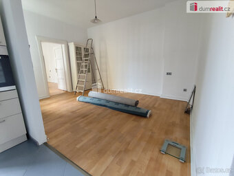 Pronájem bytu 3 + 1, 60 m2, zvýšené přízemí, sklep - 8