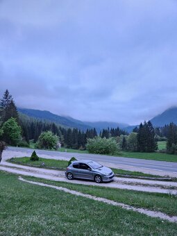 Peugeot 206 1.6 16V XS GTI LOOK - 8