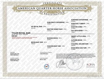QH valach po AP Royal Bar - 8