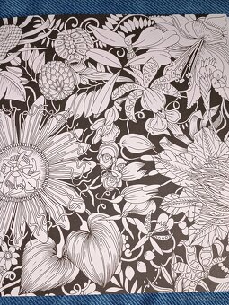 Omalovánky pro dospělé Exotický prales - 8