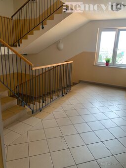 Pronájem byty 2+kk, 62 m2 - Hradec Králové - Nový Hradec Krá - 8