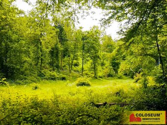 Brno - Sadová, orná půda - 2613 m2 - pozemek, ev.č. E370L015 - 8