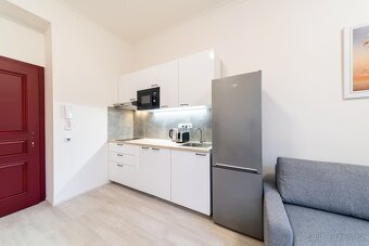 Стильна 2kk квартира в центрі Праги (Žižkov) - 8