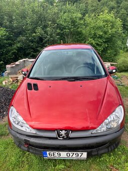 Peugeot 206 - 8
