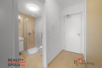 Pronájem, byty/1+kk, 34 m2, U Borského parku 3060/18, Jižní - 8