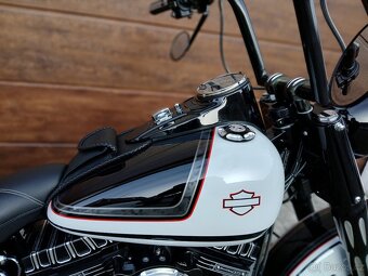 Harley-Davidson FLSS Softail Slim S - 8