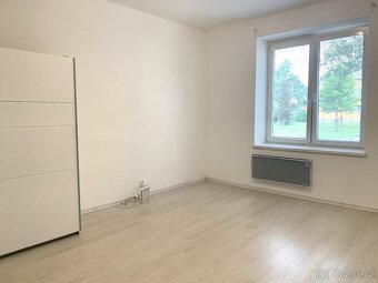 Pronájem 1+1 (40m2) v klidné lokalitě - 8