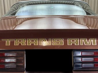 Pontiac Firebird Trans Am T/A 6.6 s V8, rok výroby 1978 - 8