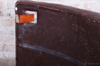 Elegantní hnědá lenoška - 8