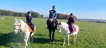 Pony do sportu pro šikovného juniora - 8