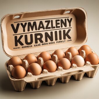 Násadová vejce a kuřátka Velsumka velka - 8