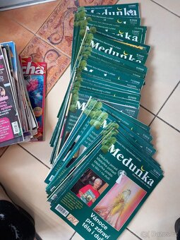 Regena, Meduňka - 8