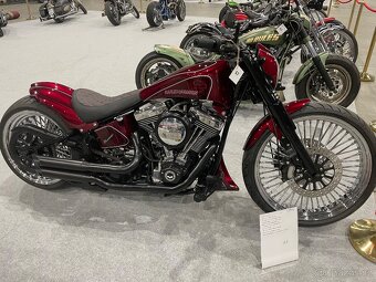 Harley Davidson Custom Breakaut - 8