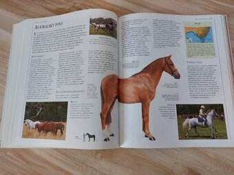 Encyklopedie koni - 8