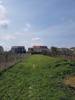 Prodám zahradu v Lužicích - 8