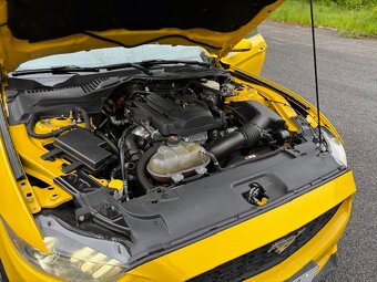 Ford Mustang 2,3 ECOBOOST, kabroilet - 8