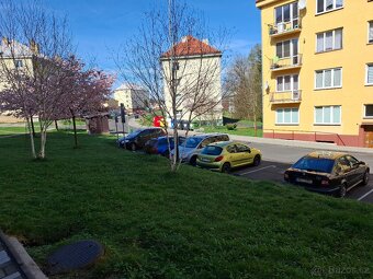 Prodej, byt 3+1 Sokolov- Bukovany - 8