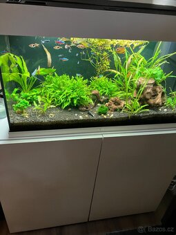Akvárium Juwel Rio 125l - 8