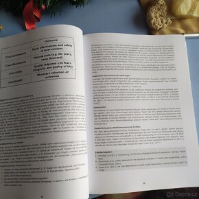 Veřejné zdraví - příprava na zdravotní praxi rakouské zdravo - 8