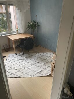Pronájem bytu 3+1 70m2 v Žabovřeskách - 8