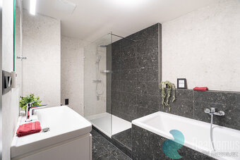 Pronájem nadstandardního bytu 3+kk, 88,2 m², B. Smetany, Čes - 8