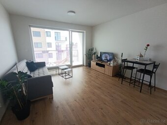 Pronájem bytu 1+kk, novostavba Opava, Císařského pluku - 8