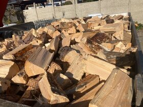 Palivové dřevo - tvrdé i měkké - 8