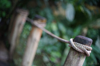 Objektiv Super-Takumar 50/1.4, 8-element, m42 závit - 8