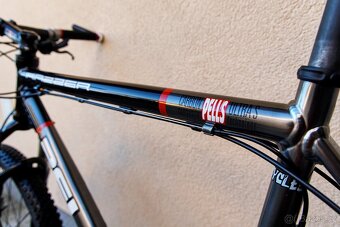 MTB Pells RAZZER carbon Race D (XL) - 8