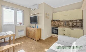 Pronájem zařízeného bytu 1+kk s terasou, Sobotecká, Praha - - 8