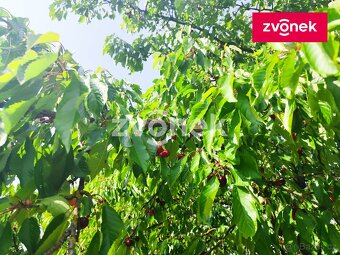 Stavební pozemek Těšnovice/KM - 8