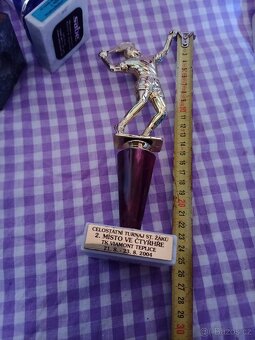 Prodám poháry, trofeje kus 50 Kč - 8