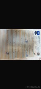 Ford transit 2.4D 2007 - 8