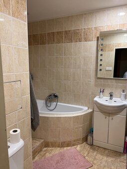 Pronájem vybaveného bytu 2+1 • 61 m², Meisnerova Chomutov - 8