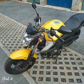 Yamaha XJ6 r.v.2009 - 8