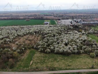 Exkluzivně nabízíme k prodeji ovocný sad o výměře 1850 m². - 8