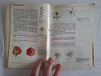 Přírodopis pro 5. ročník ZŠ (1988) - 8