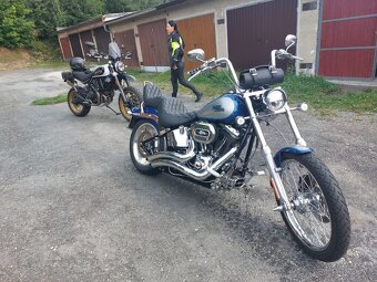 Harley Davidson Softai Custom FXSTC - 8