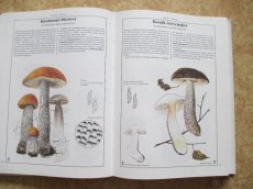 Knihy o zvířatech, houby, příroda - 8