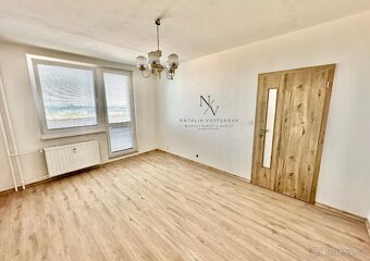 Pronájem bytu 1+1 ul. Kamínky, Brno, výhled na Brno - 8