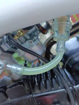 BUFFLER D125Y - PITBIKE - 8